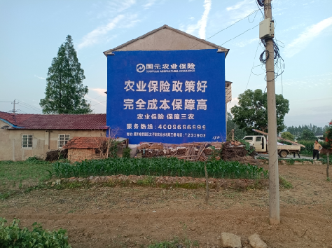 灵川墙体广告的优劣势你知道吗？